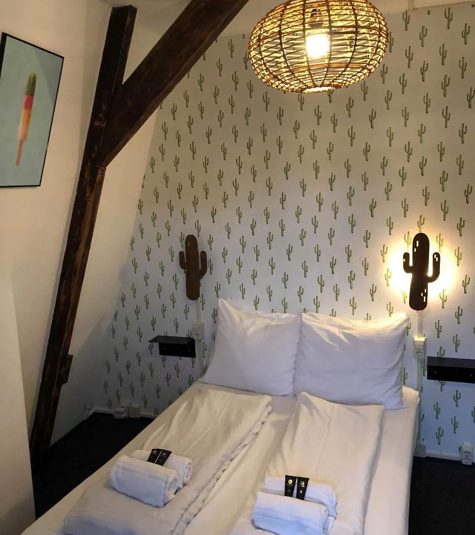 The Flying Pig Downtown Hostel Amsterdam 0*,  Netherlands